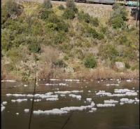 Ler notícia: ProTejo alerta para foco de poluição entre barragem do Fratel e Barca da Amieira