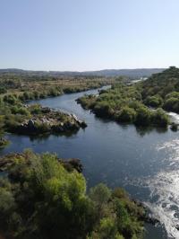 Ler notícia: Plano para o Tejo com avaliação ambiental da foz a Espanha avança «em breve» - AdP AQUA