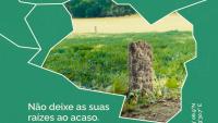 Ler notícia: Município lidera ranking nacional do BUPi no mês de julho