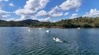 Estrela mundial do Wake brilhou no Trízio 