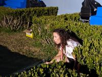 Sardoal «constrói» tapete de flores junto ao palco-altar da Colina do Encontro (c/áudio e fotos)