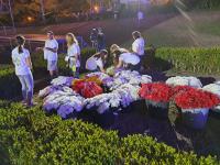 Sardoal «constrói» tapete de flores junto ao palco-altar da Colina do Encontro (c/áudio e fotos)