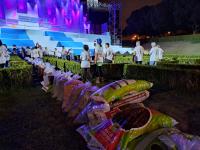 Sardoal «constrói» tapete de flores junto ao palco-altar da Colina do Encontro (c/áudio e fotos)