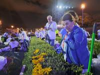 O tapete de flores de Sardoal para a Cerimónia do Acolhimento com o Papa (fotogaleria)