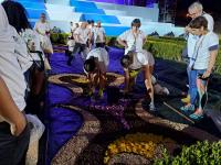 O tapete de flores de Sardoal para a Cerimónia do Acolhimento com o Papa (fotogaleria)