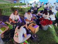 O tapete de flores de Sardoal para a Cerimónia do Acolhimento com o Papa (fotogaleria)