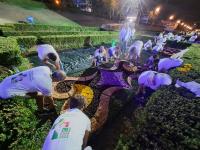 O tapete de flores de Sardoal para a Cerimónia do Acolhimento com o Papa (fotogaleria)