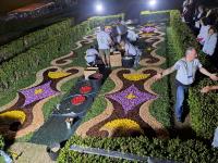 O tapete de flores de Sardoal para a Cerimónia do Acolhimento com o Papa (fotogaleria)