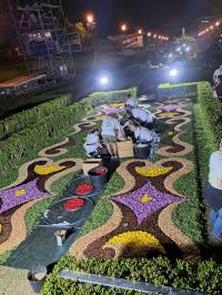 O tapete de flores de Sardoal para a Cerimónia do Acolhimento com o Papa (fotogaleria)