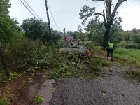 Ler notícia: Tornado atingiu o Sardoal arrancando árvores e com prejuízos numa habitação (c/áudio e vídeos ATUALIZADA 18:30)