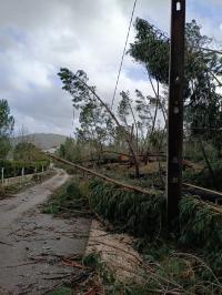 Vila de Rei continua sem comunicações e metade do concelho sem eletricidade (c/áudio)