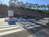 Ler notícia: «Passeio das Bonitas – Chapas Amarelas» reuniu cerca de uma centena de participantes 