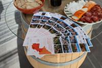 Enoturismo é aposta da Comunidade Intermunicipal no turismo sustentável (c/áudio)