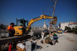 Ler notícia: Santuário de Fátima inicia plantação de novas árvores no recinto