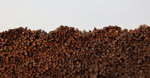 Ler notícia: AIGP 2.0 em Consulta Pública e com reunião convocada para proprietários