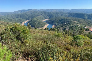 Ler notícia: WWF Portugal lança recomendações para gerir paisagem e prevenir fogos