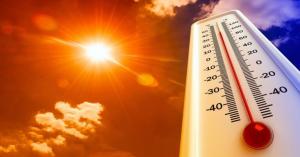 Ler notícia: ULS antecipa ondas de calor e reforça resposta em saúde pública