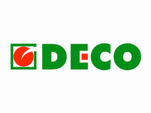 DECO: SOS NATAL! Boas contas, boas compras e boas escolhas