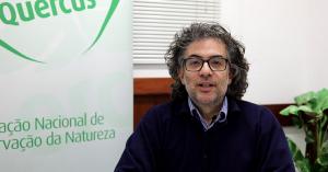 "ESTUDO REVELA QUE 21% DA EVOLUÇÃO DAS PLANTAS COM FLOR ESTÁ EM RISCO"