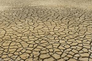 Ler notícia: Eventos climáticos extremos no verão de 2025 custam à Europa 43 MME