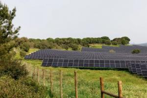 Ler notícia: EDP abre candidaturas para programas de formação em energias renováveis