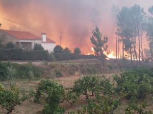 ESPECIAL INFORMAÇÃO 23h Ponto de Situação - Incêndio em Carvalhal