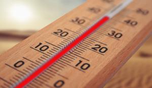 Ler notícia: Temperaturas sobem a partir de sábado podendo chegar aos 40 graus em algumas regiões