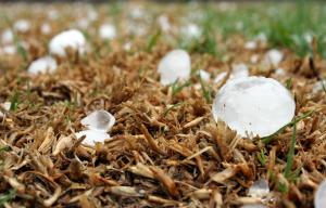 Ler notícia: Onde de calor provoca fenómenos em Portugal como chuvadas, vento, granizo e trovoada