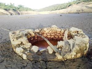 Ler notícia: Baixo nível de água em Castelo do Bode preocupa ambientalistas, agricultores e empresários