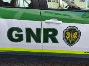 Ler notícia: Grupo Territorial da GNR de Santarém deteve 40 pessoas numa semana