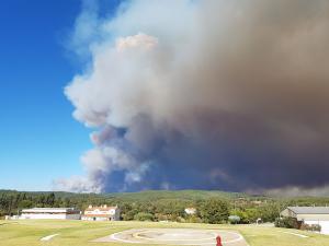 ESPECIAL INFORMAÇÃO 17H - Incêndios de Mação e Vila de Rei