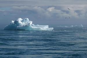 Ler notícia: IPMA alerta para intensificação do El Niño, que poderá tornar-se muito forte até ao final do ano