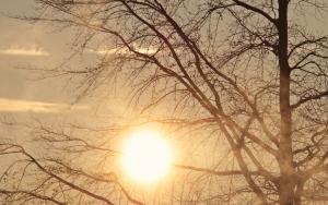 Ler notícia: Municípios identificam locais de abrigo temporário climatizados para onda de calor