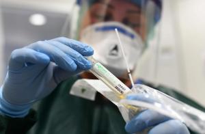 Ler notícia: Portugal com 65.578 infeções, novo máximo diário