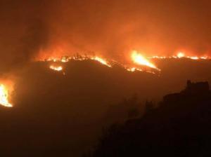 ESPECIAL INFORMAÇÃO 00h00: Incêndio em Vila de Rei - Situação Incontrolável | Ouça aqui!