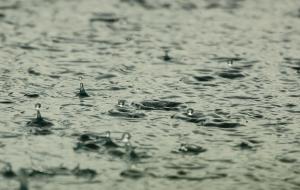 Ler notícia: Oito distritos sob aviso amarelo devido à chuva no fim de semana
