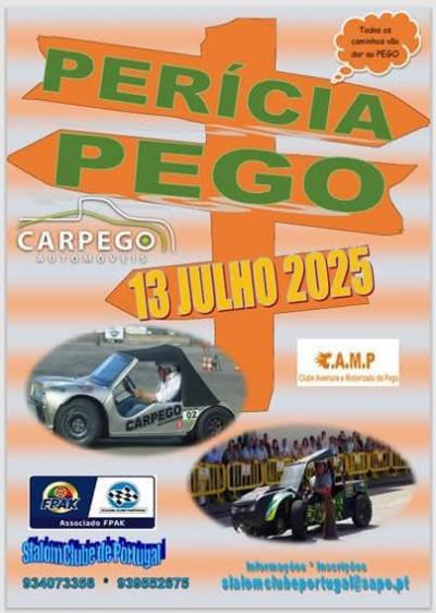 Cartaz Perícia Automóvel 