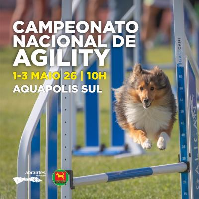 Cartaz Agility - Campeonato Nacional