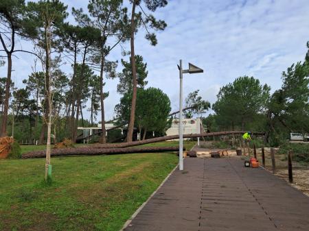 Decretada situação de calamidade até dia 1 de fevereiro