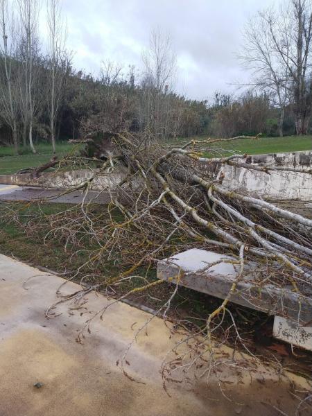 Os efeitos dos ventos na região (EM ATUALIZAÇÃO - C/ Áudio)