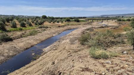 APA confirma intervenção «à revelia» na Ribeira de Alcolobre e exige restauro