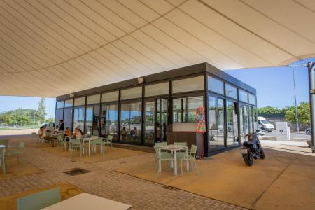 Seis meses depois das cheias, Sasha River e Estação de Canoagem de Alvega reabrem ao público (c/áudio e fotos)