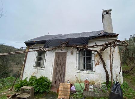 Rotary Club ajuda a reconstruir telhado que a tempestade destruiu