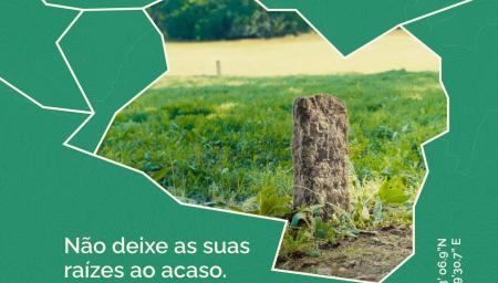 Município lidera ranking nacional do BUPi no mês de julho