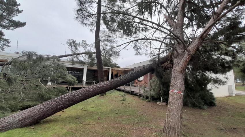 Abrantes com 15 ME de prejuízos no setor público. Privados já começaram a receber apoios (c/áudio)