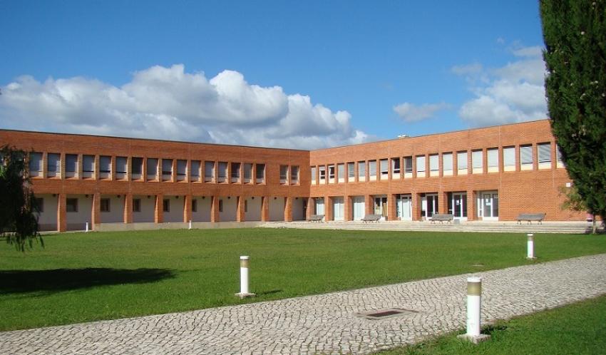 Politécnico de Tomar passa a Universidade Politécnica a partir de 1 de agosto