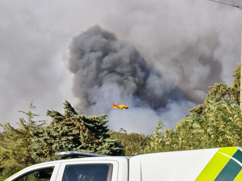 Incêndio já lavra no concelho de Mação. EN 3 está cortada. Não há aldeias em perigo (C/ Áudio)