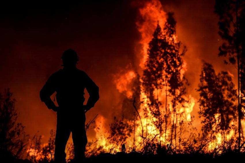 Cerca de 60 concelhos de oito distritos do país em perigo máximo de incêndio