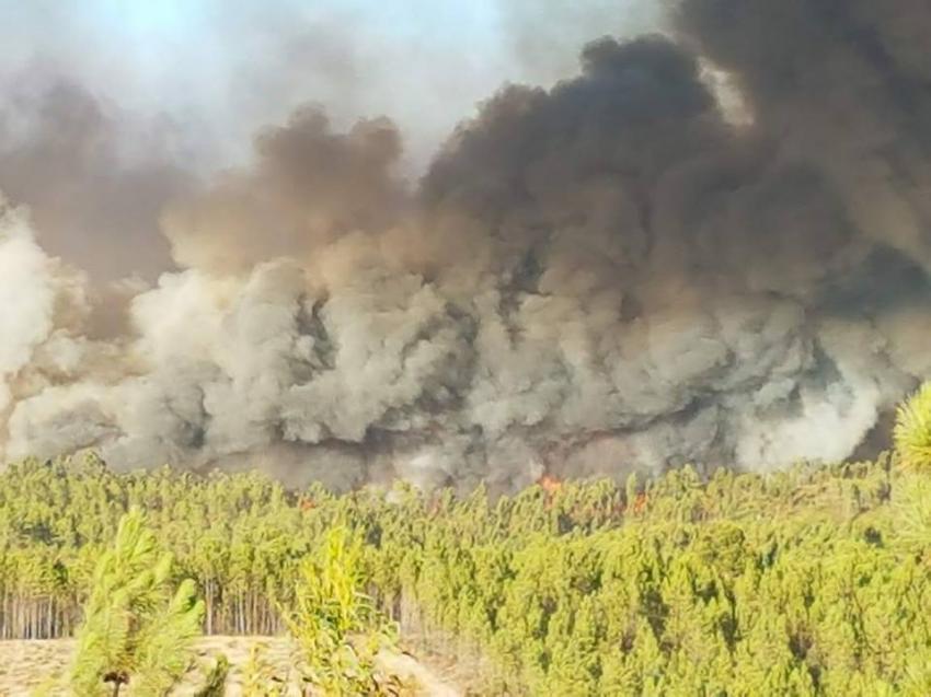 Informação Antena Livre - Incêndios  - Edição 18h00 | OUÇA AQUI