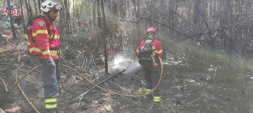 Bomberos del Tejo Medio combaten incendios en Chile